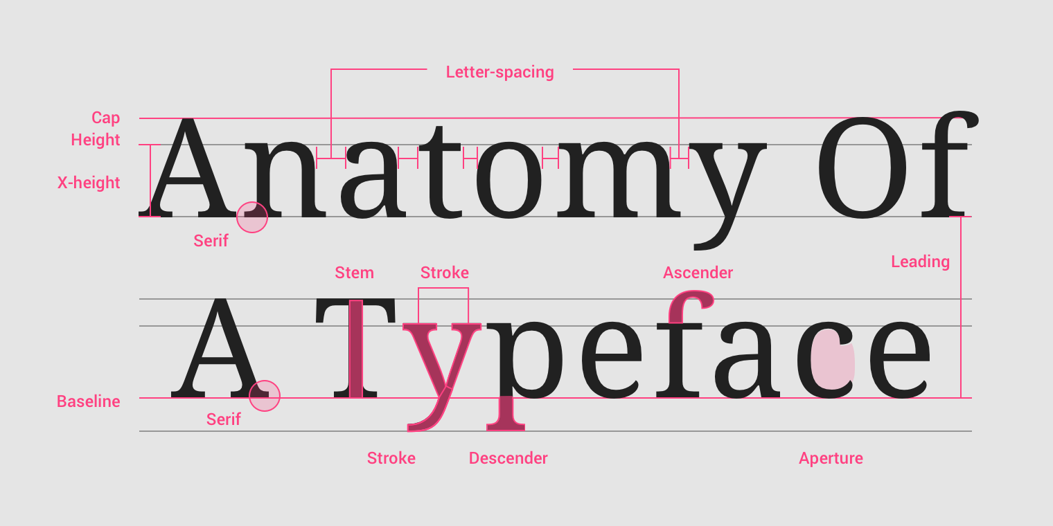 Typography Properties